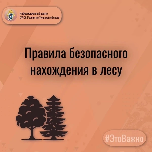 Информационный центр следственного управления Следственного комитета России по Тульской...
