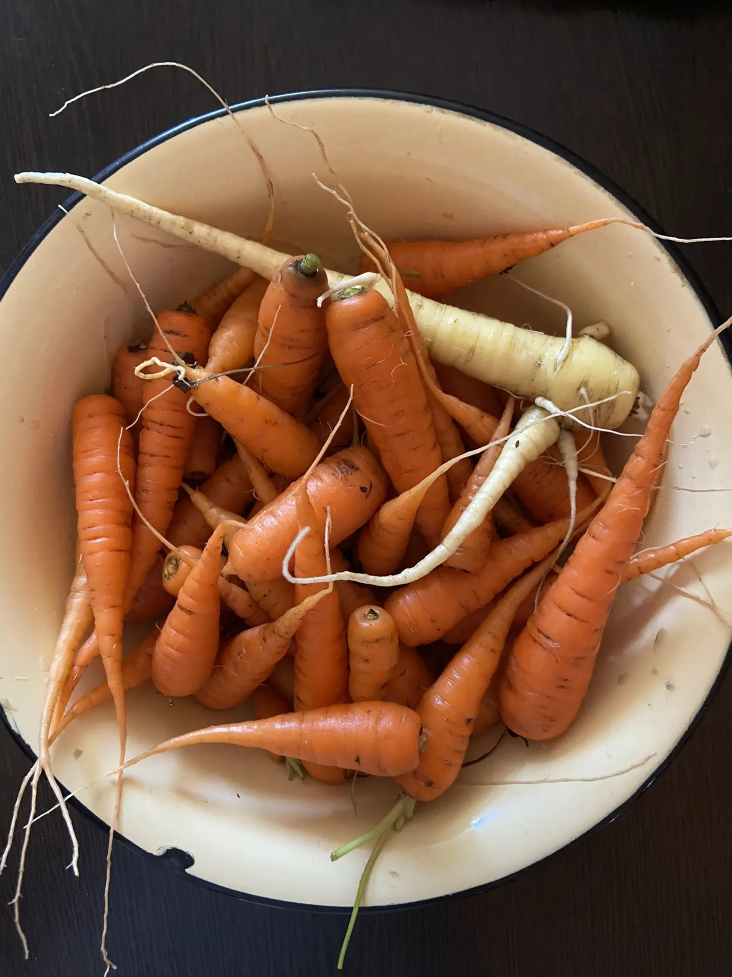 🥕 Урожай, который вырастили своими руками!
