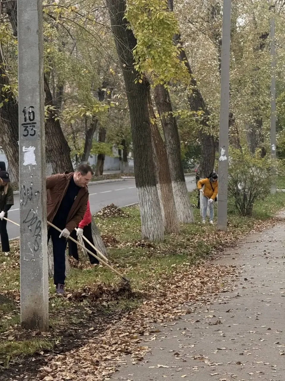 🍂 В Новокуйбышевске убирают улицы и готовят город к зиме.