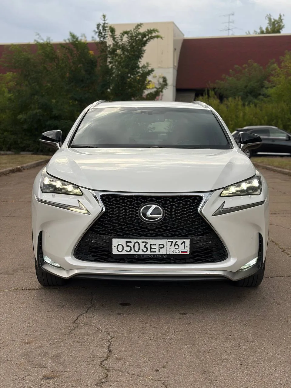 LEXUS NX