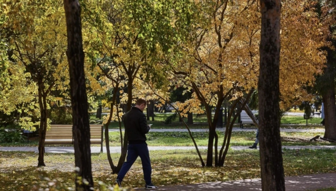В Краснодаре на выходных потеплеет до +24 °C ☀️
