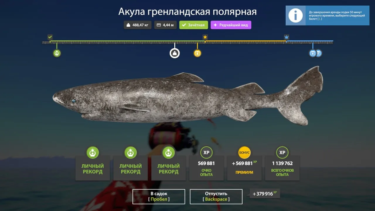 #норвежское@RF4_Vkluchite_klev