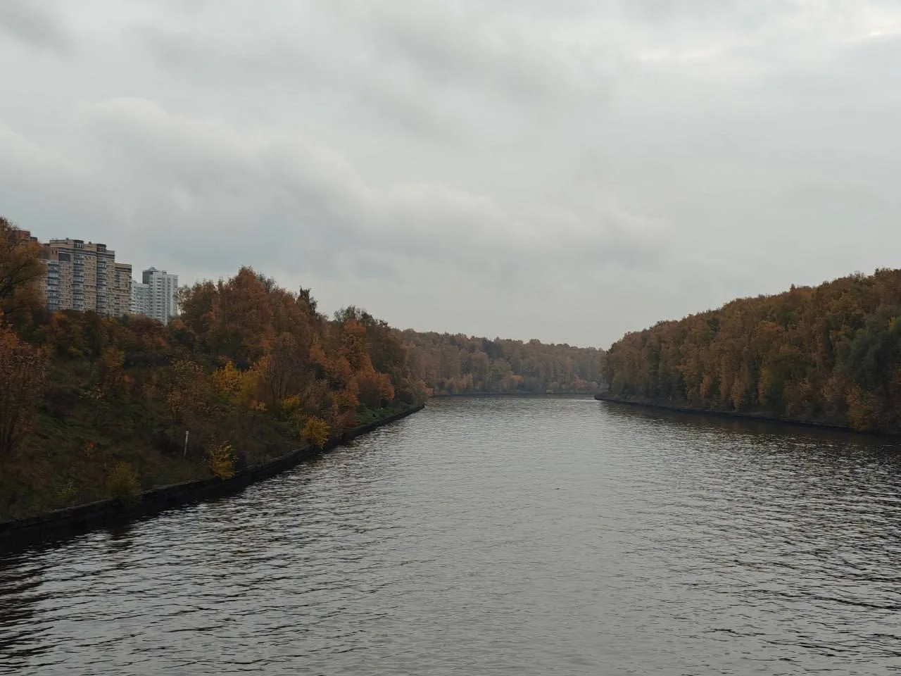 Вид на Долгопрудный с воды 🌊