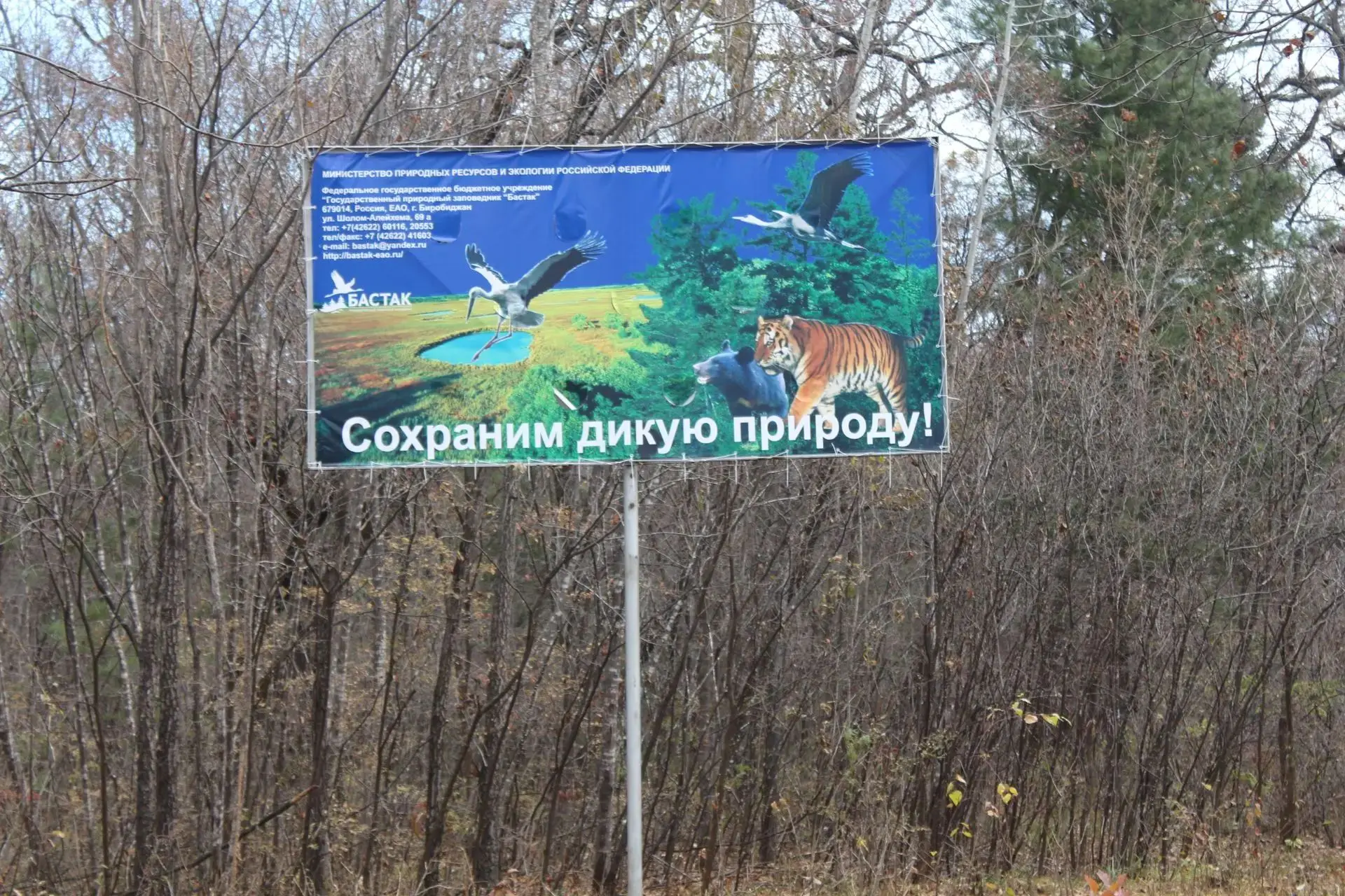 День работников заповедного дела: праздник тех, кто хранит природу