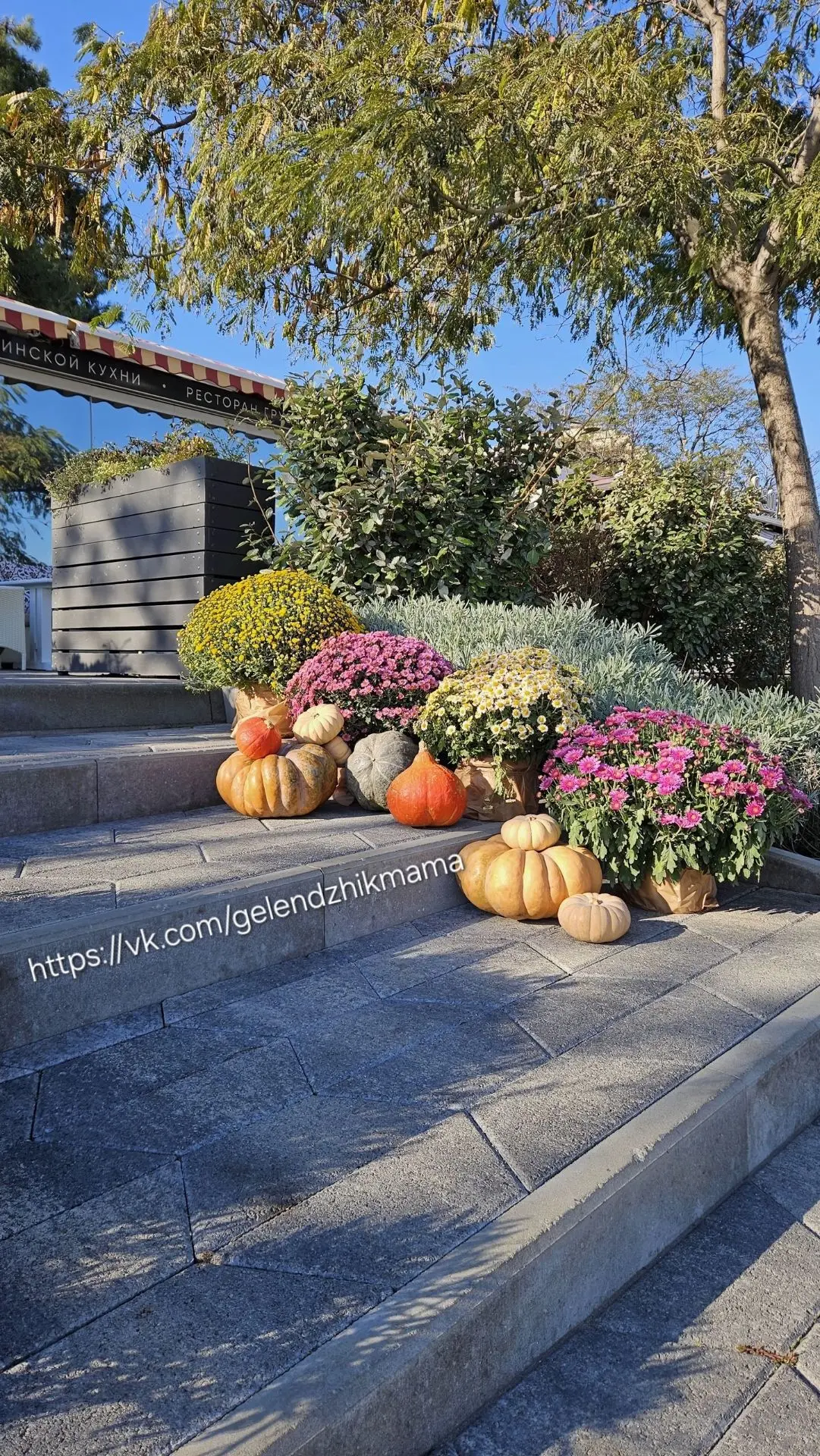ОСЕННИЕ КАНИКУЛЫ В ГЕЛЕНДЖИКЕ🍂🍁🌲☀️🌊