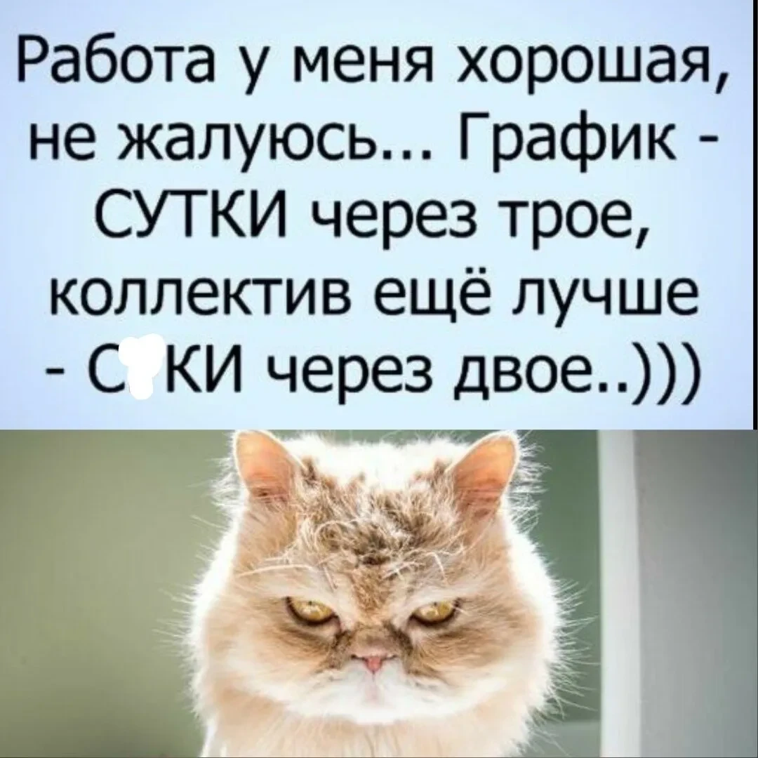 КОГДА РАБОТА ХОРОШАЯ, НО С КОЛЛЕГАМИ ПОВЕЗЛО ЕЩЕ БОЛЬШЕ!