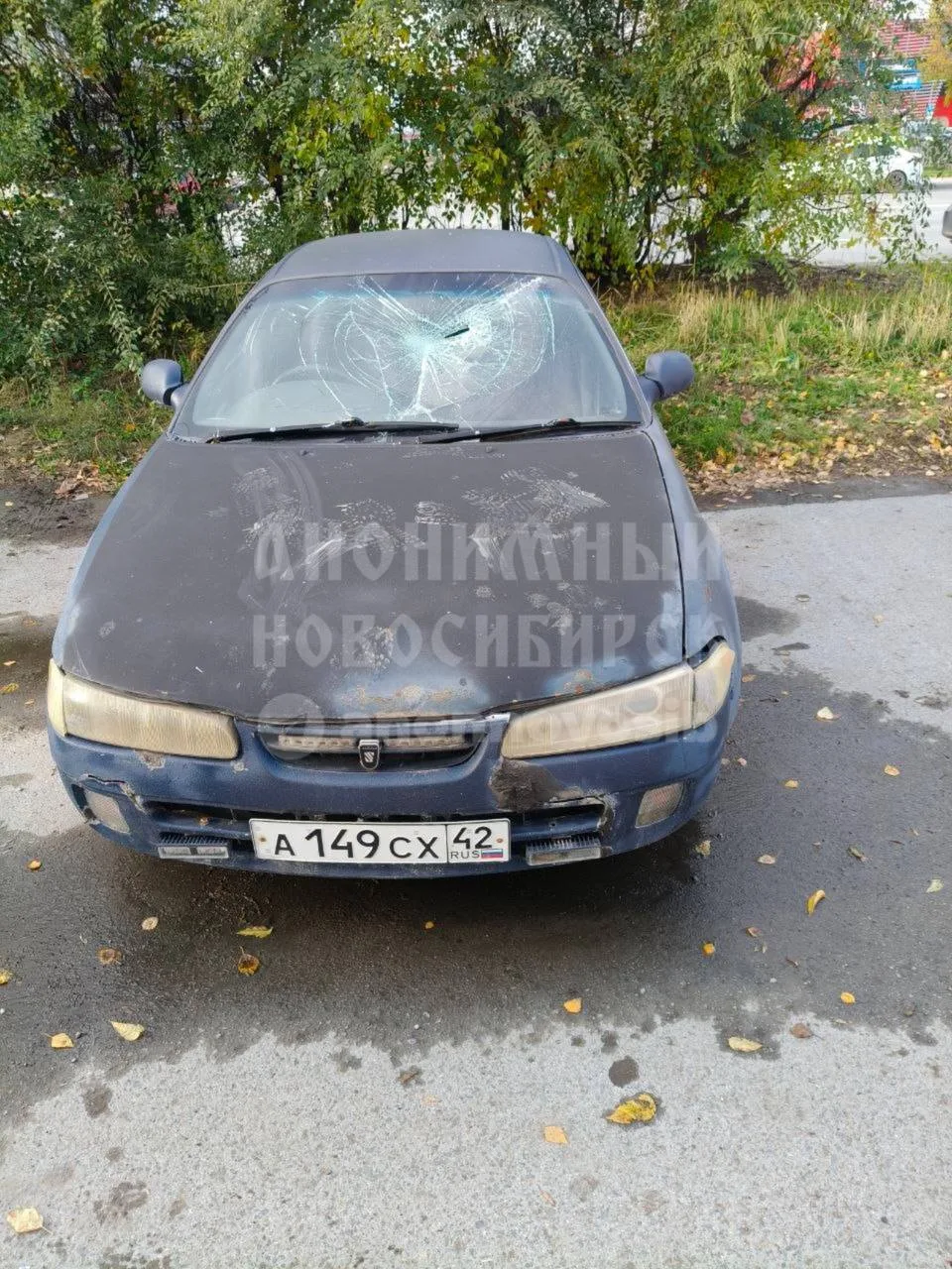 Сообщение от подписчика: