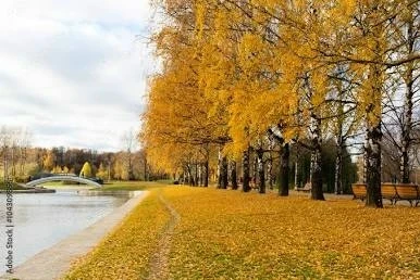 🍁 В Мытищах завершают сезонное благоустройство