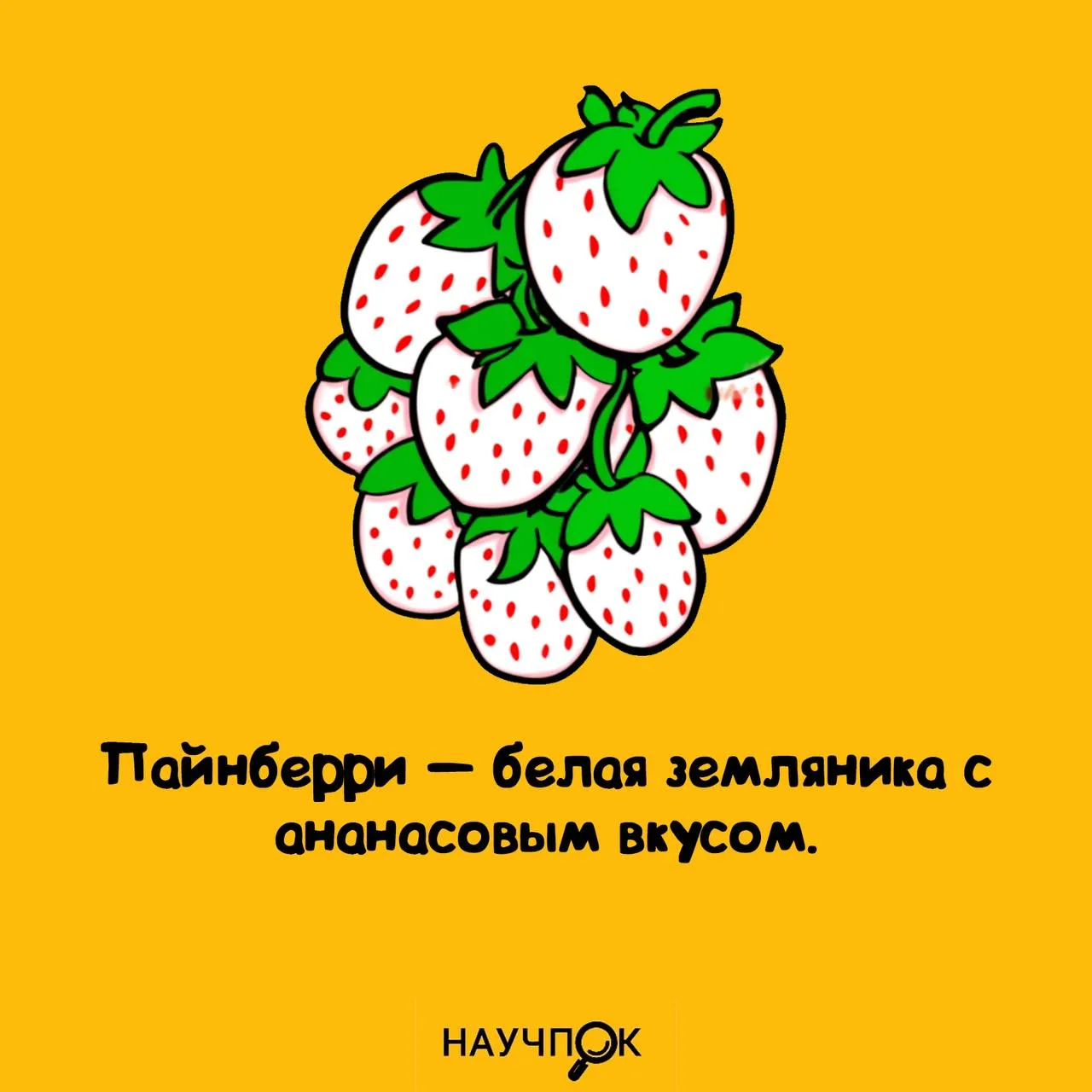 Земляника, которая решила быть ананасом 😅