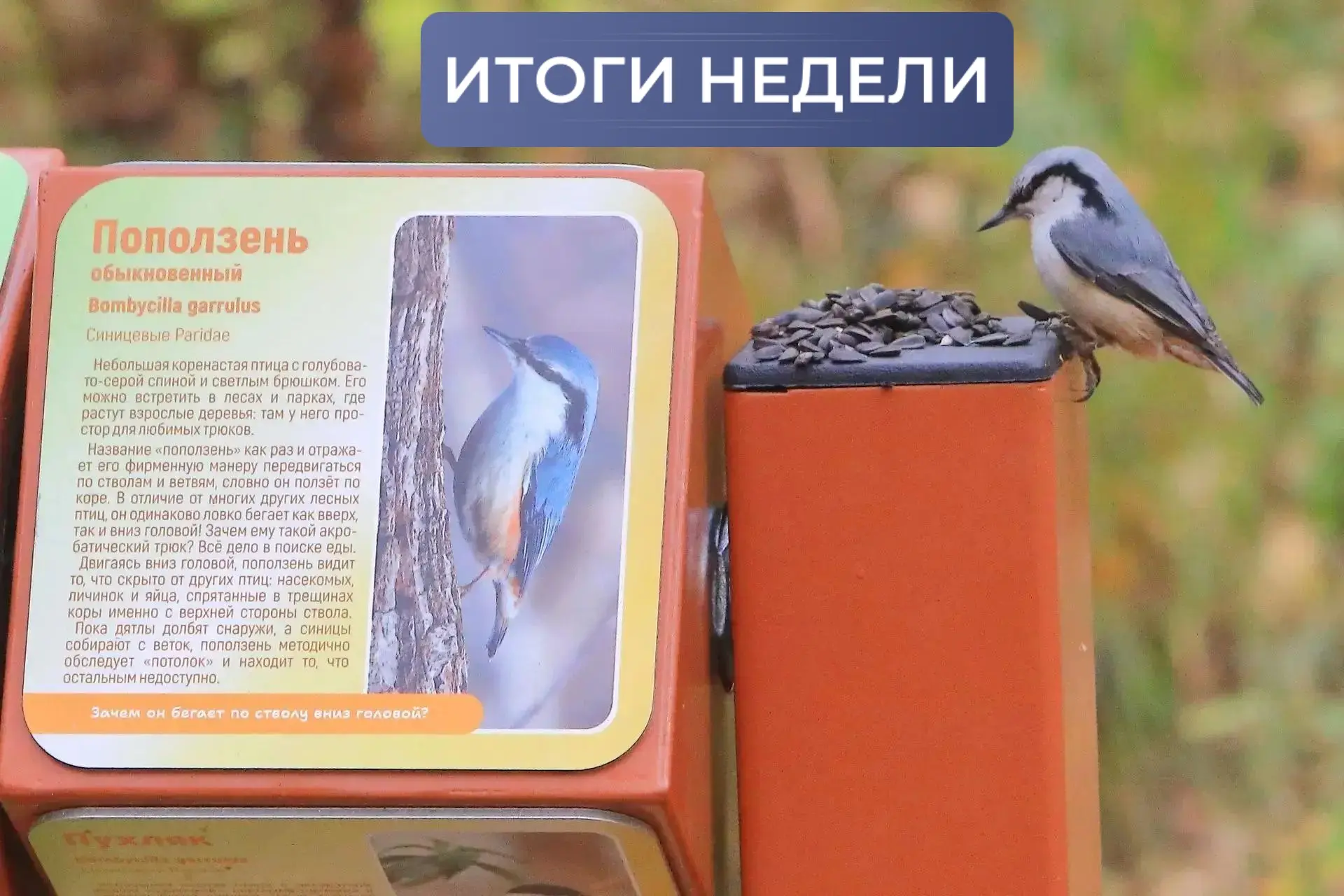 #ИтогиНедели