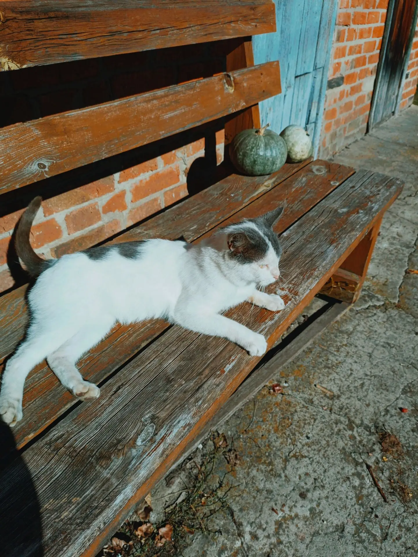 "Картина маслом" 😻