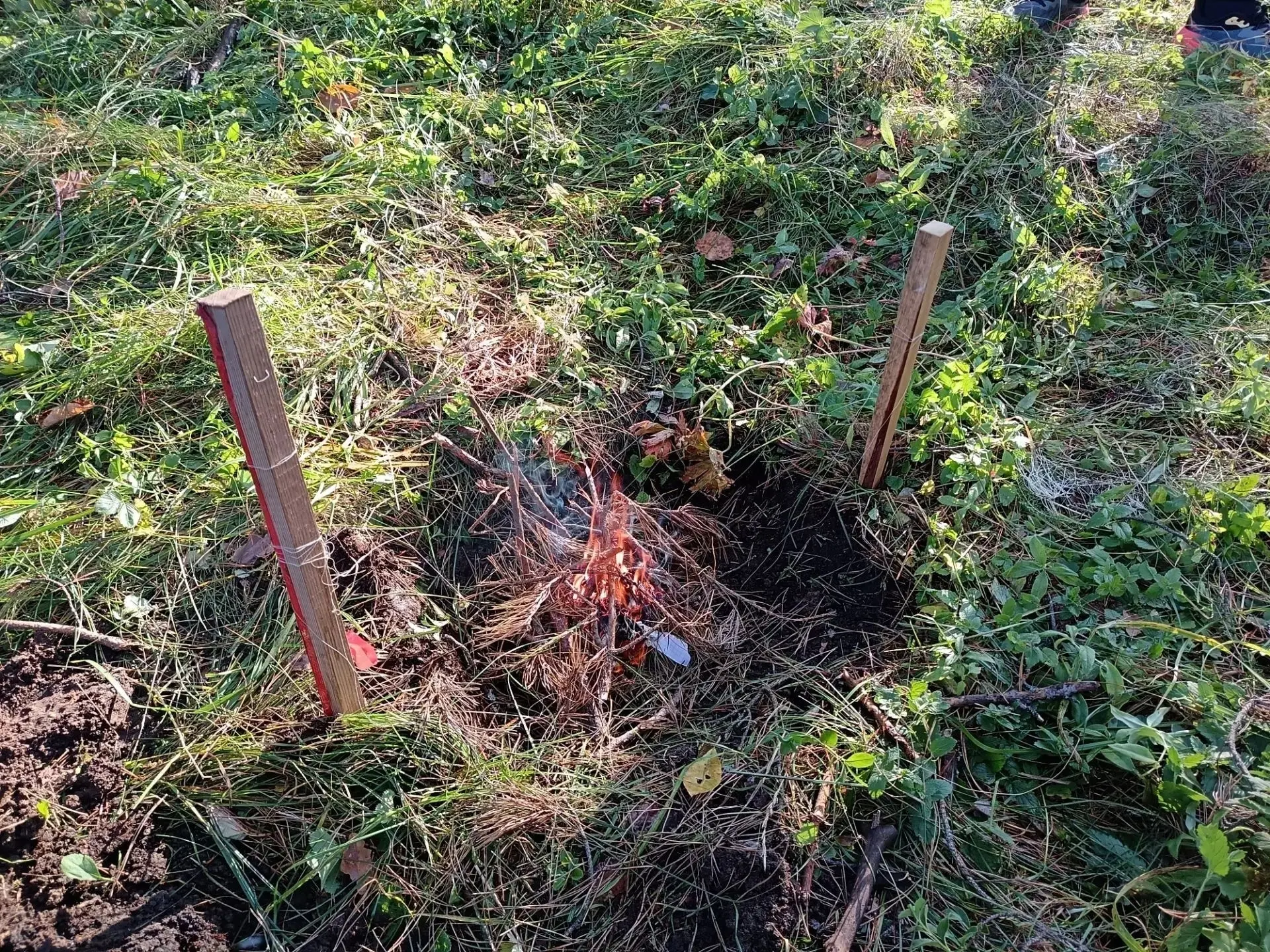 В поисках сокровищ: «Наедине с природой»