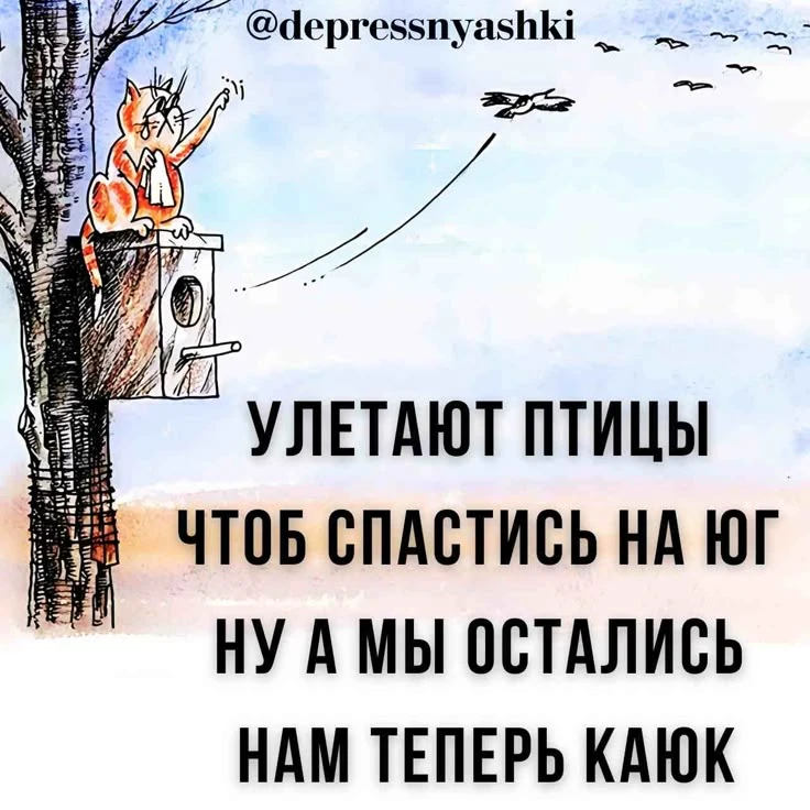#юмор
