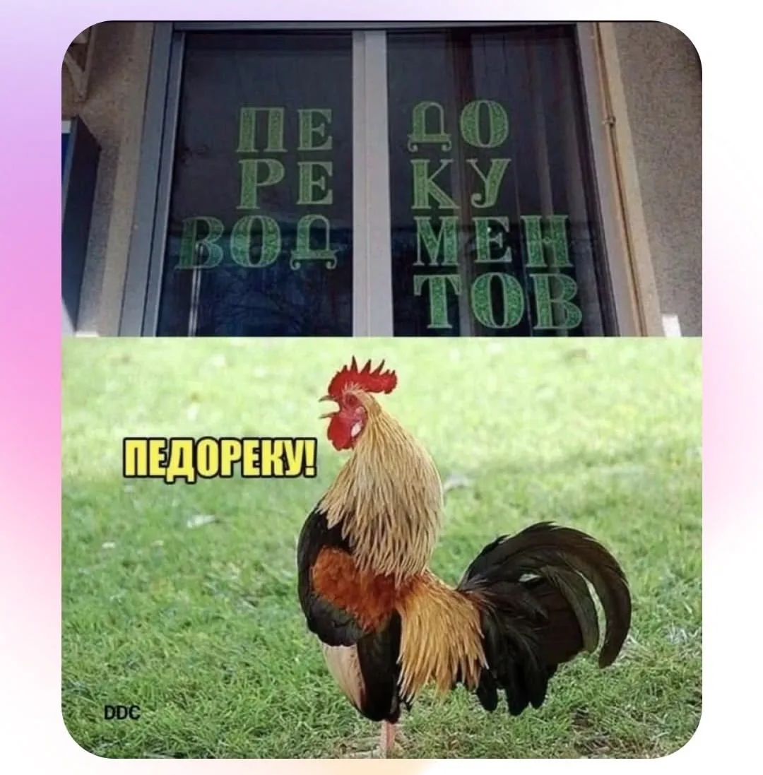 @channel_Memoreal