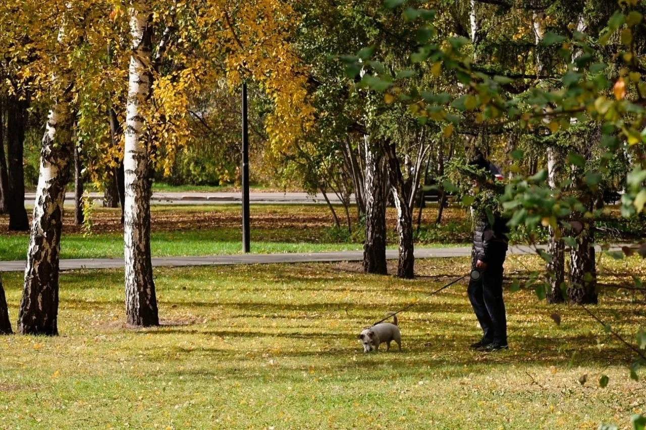 Осенняя красота неописуема 🍂