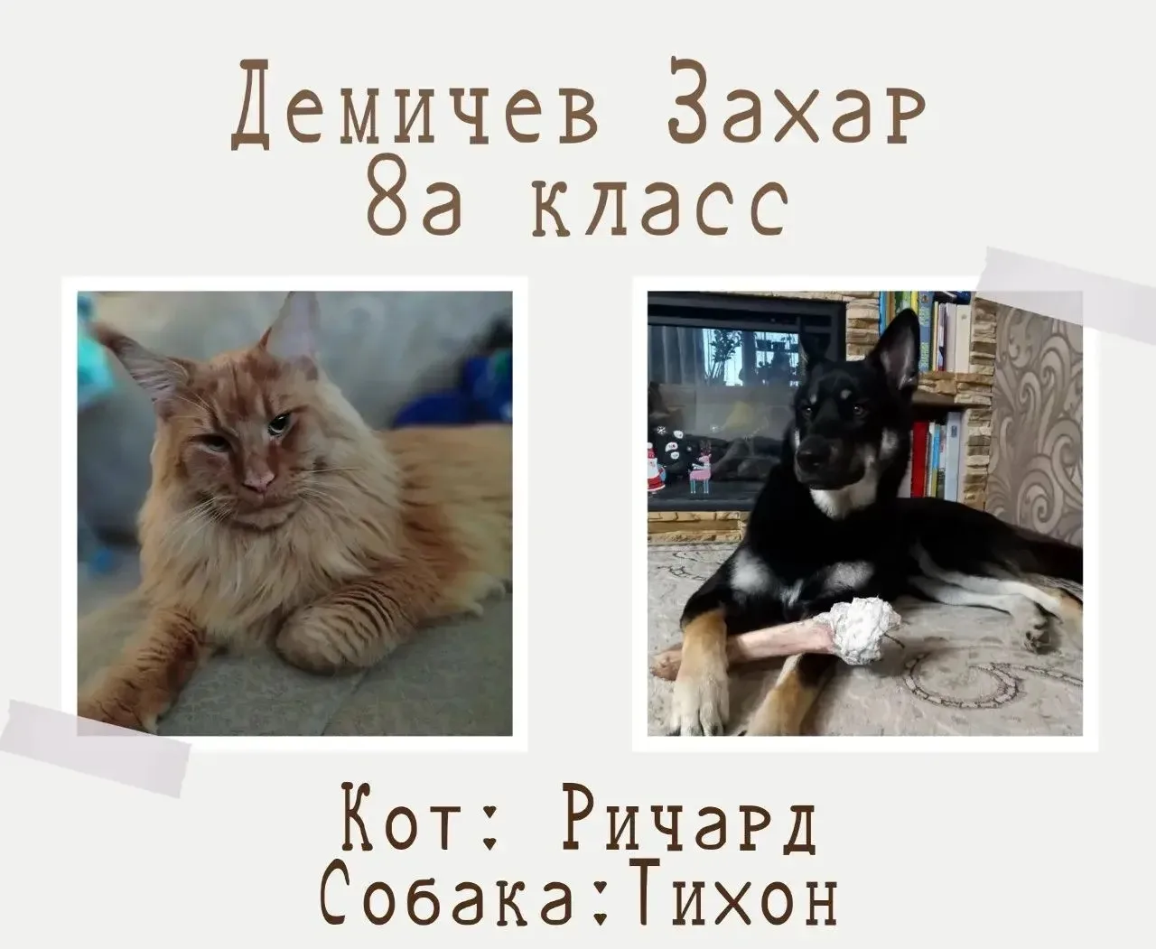 🐾 Внимание, любители пушистиков, пернатых и чешуйчатых! 🐾