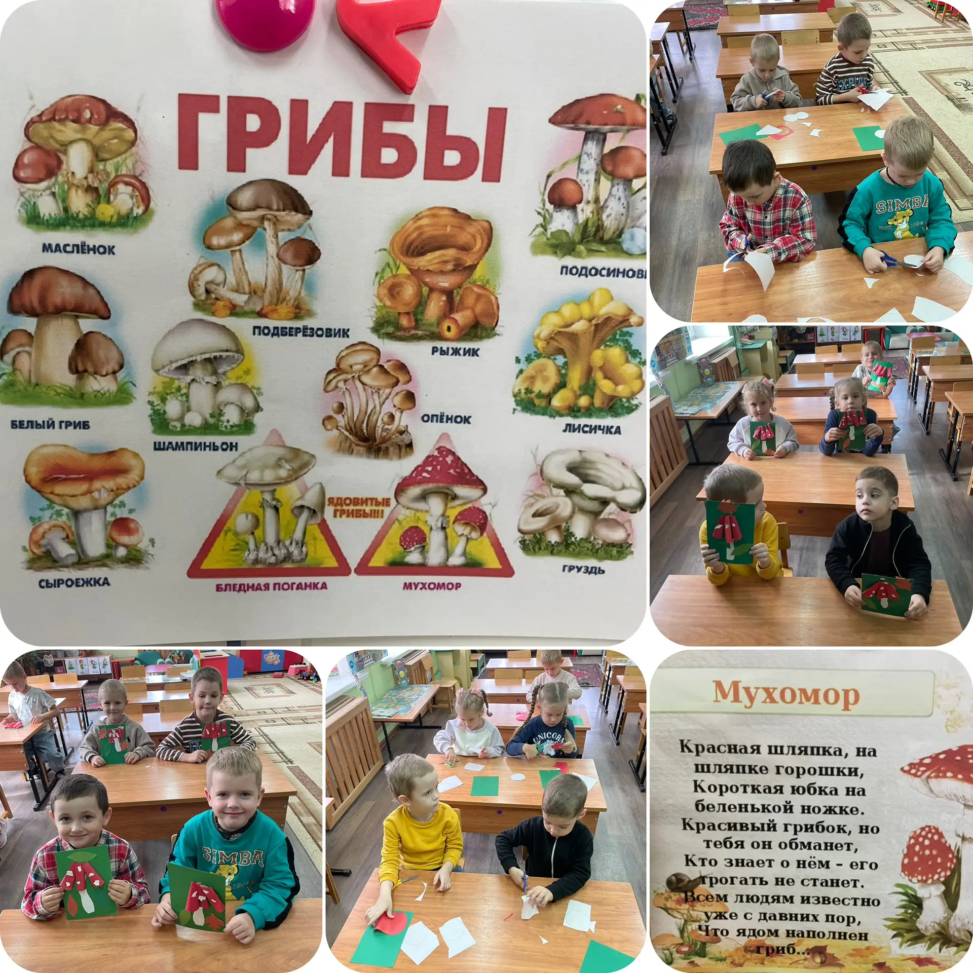 Сегодня в старшей группе прошло тематическое занятие на тему «Грибы». Целью занятия был...
