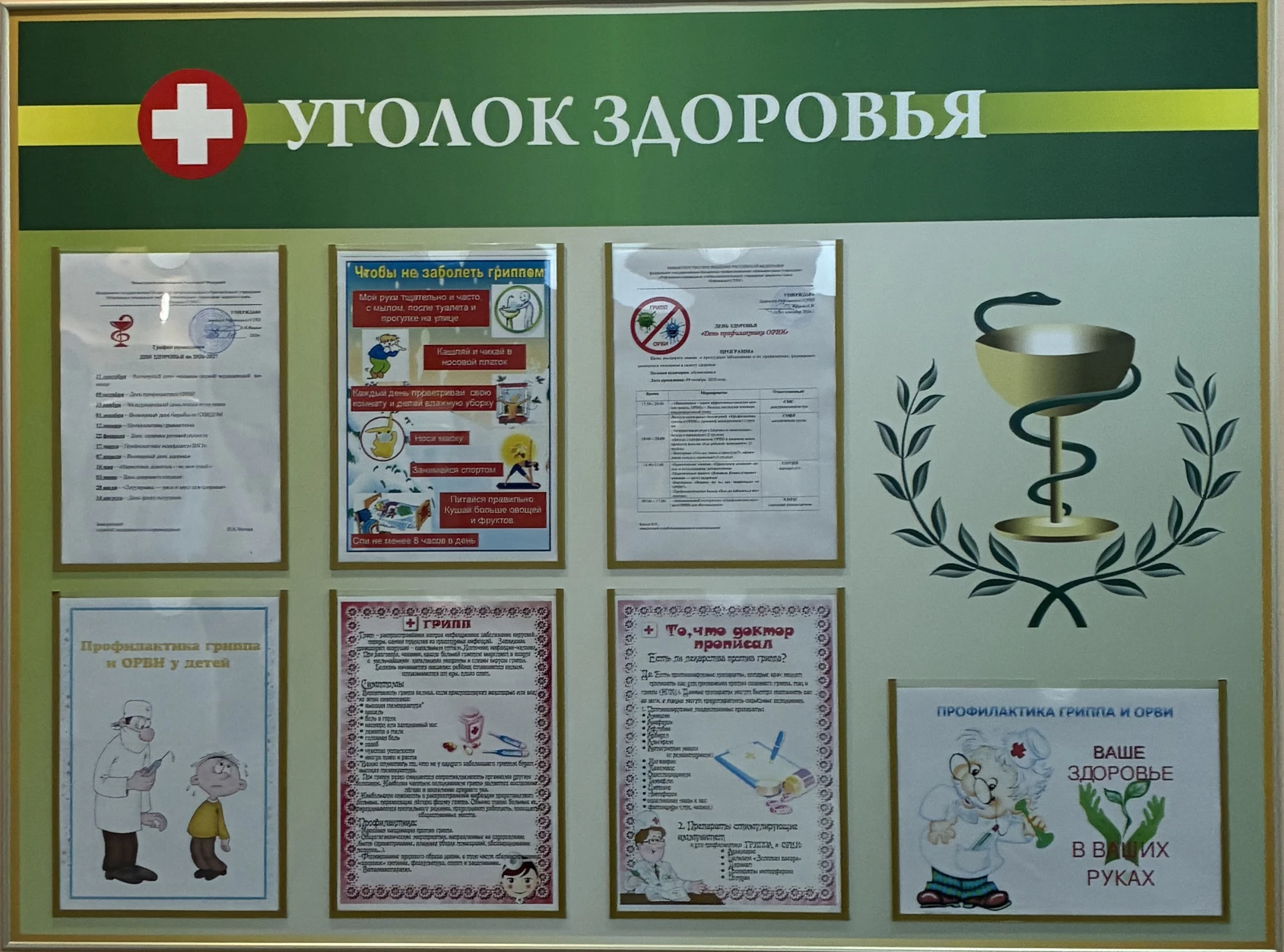 👨‍⚕️День профилактики ОРВИ