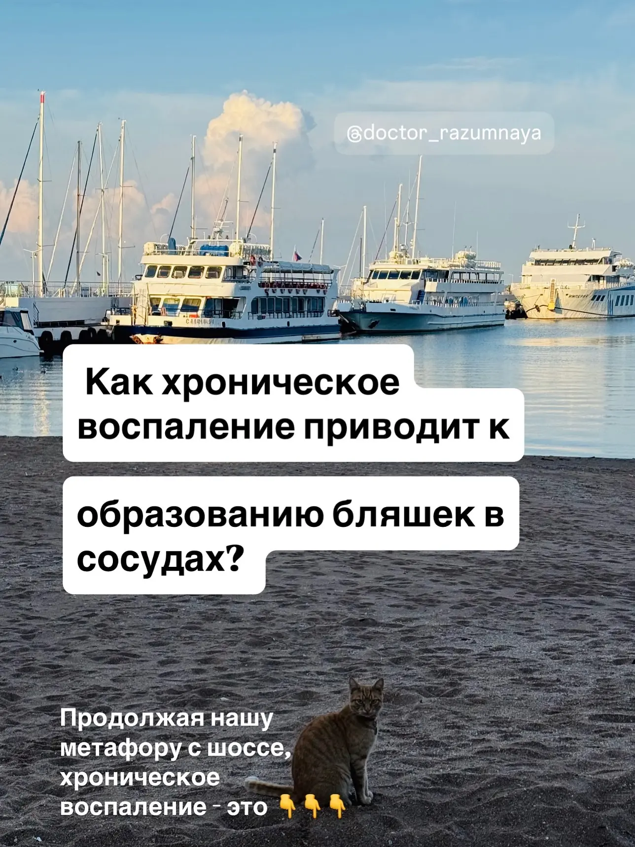🧐 как хроническое воспаление приводит к образованию бляшек в сосудах?