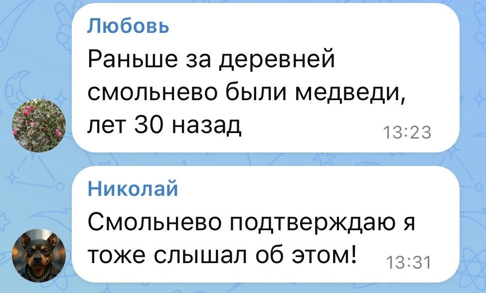 После нашего поста о медведях в Киржачском округе подписчики начали делиться своими ист...