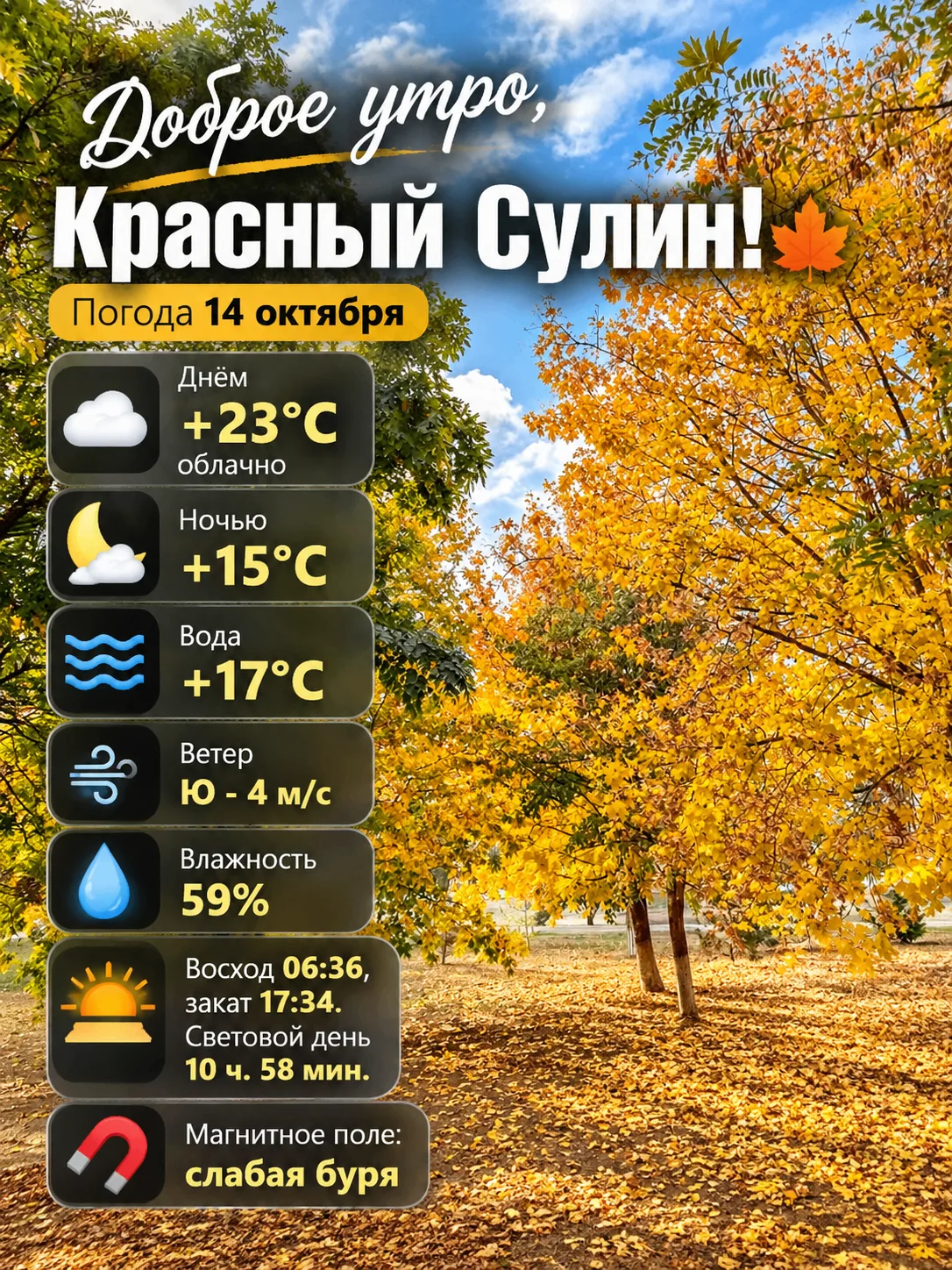 Доброе утро, Красный Сулин! 🍂