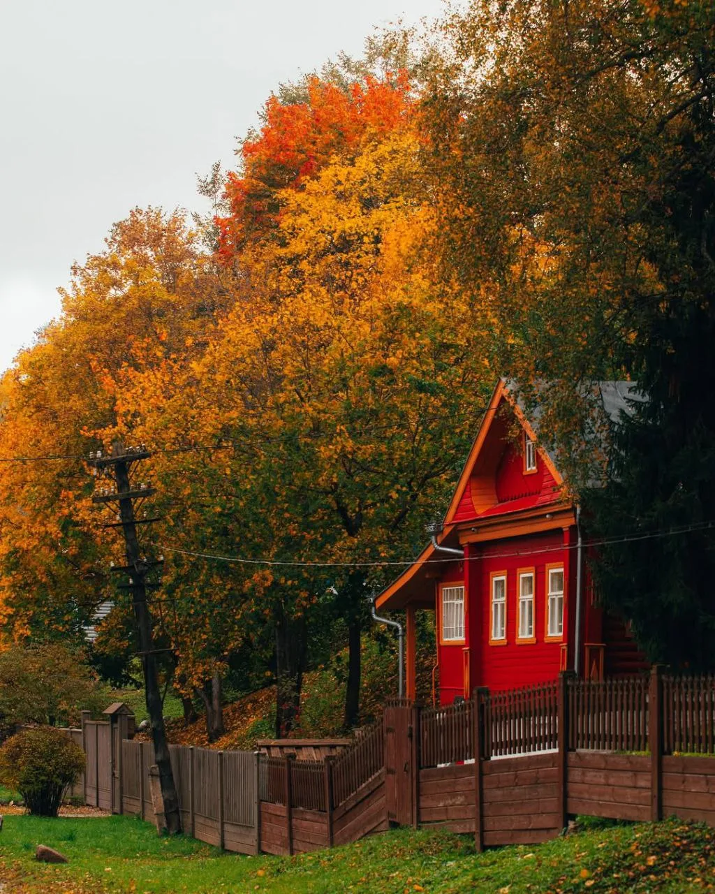 Золотая осень в Плёсе 🍂🍁