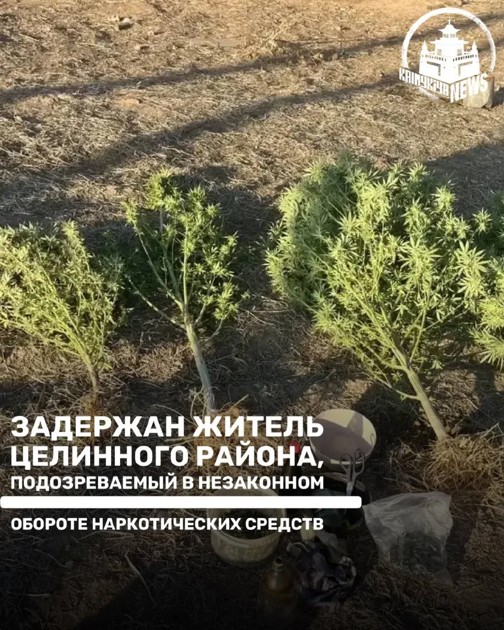 В Целинном районе задержан подозреваемый в незаконном обороте наркотиков