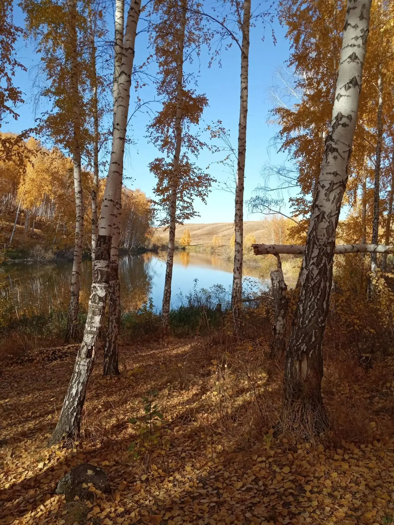 Доброе утро, дорогие друзья!
