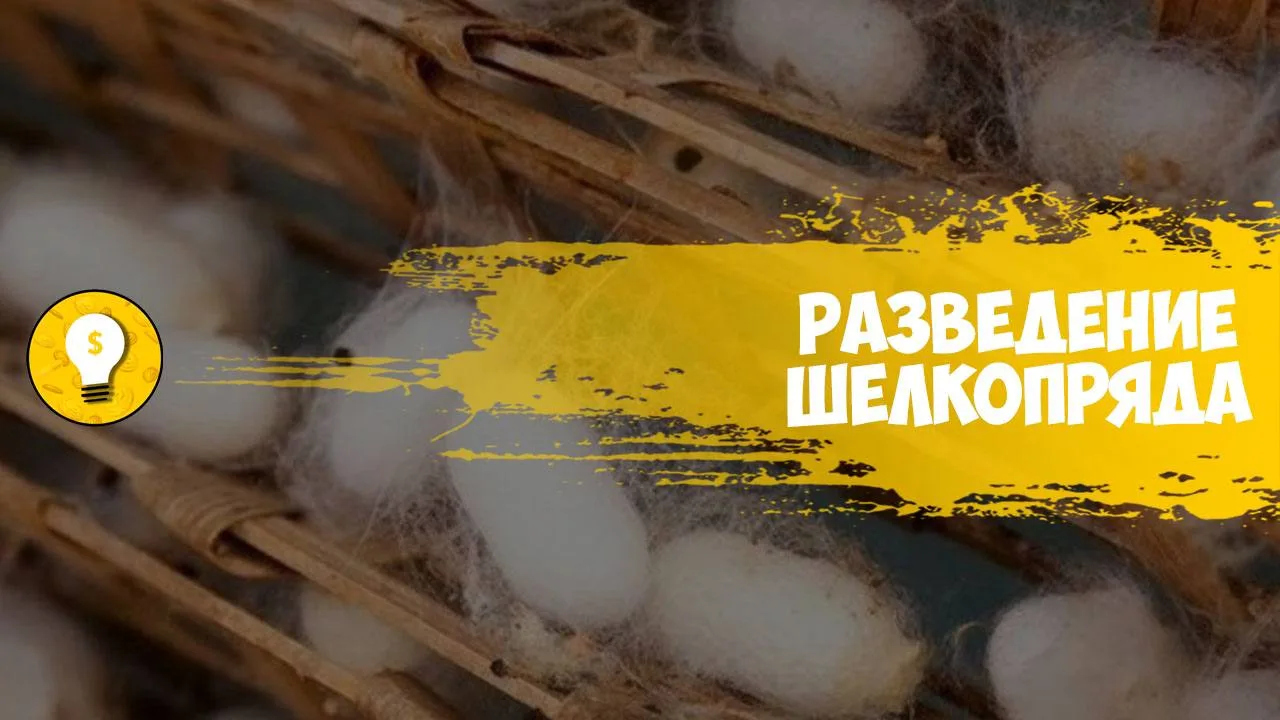 +500 000 руб/месяц на разведении шелкопряда.
