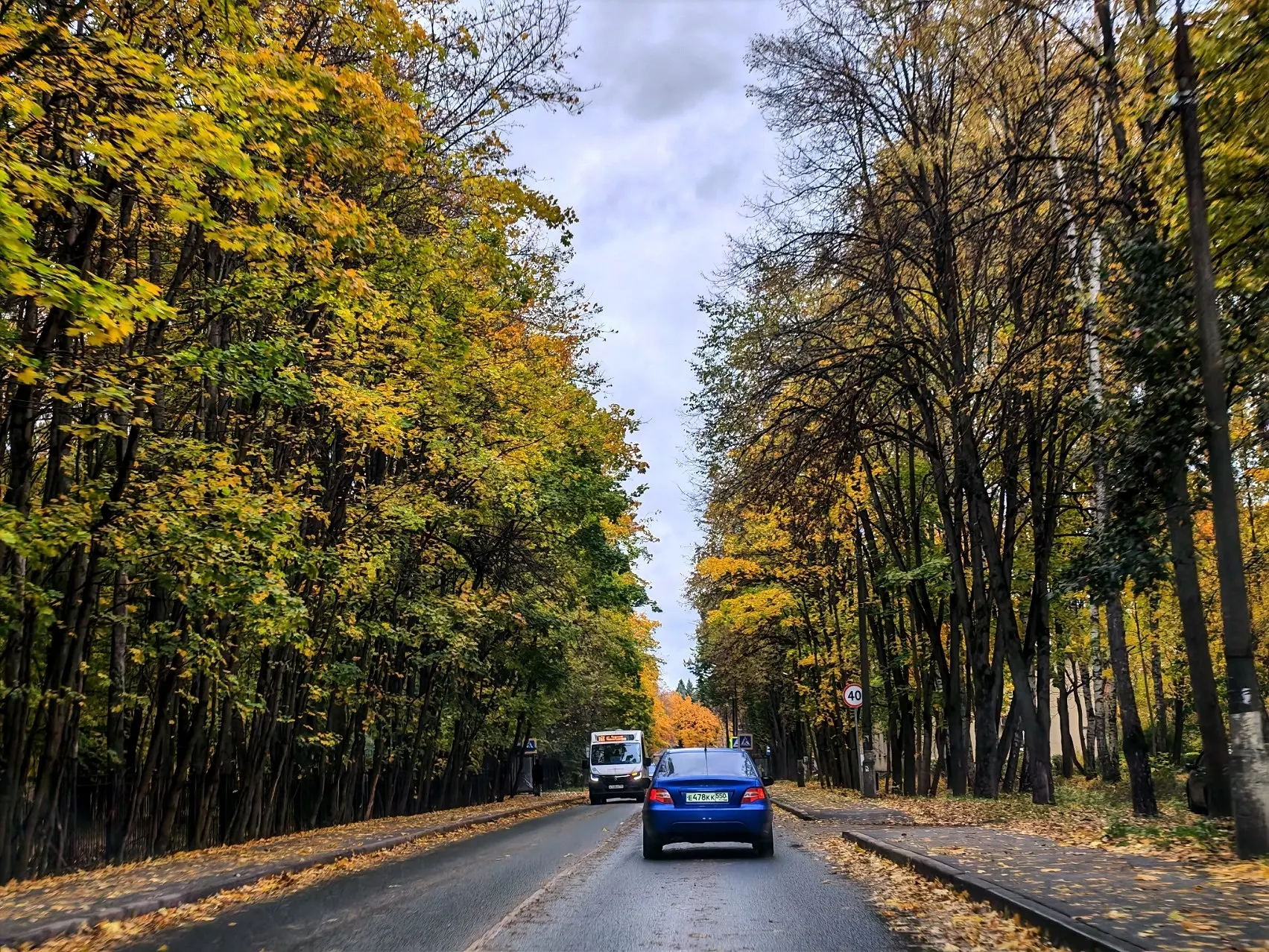 Доброго вечера, друзья!