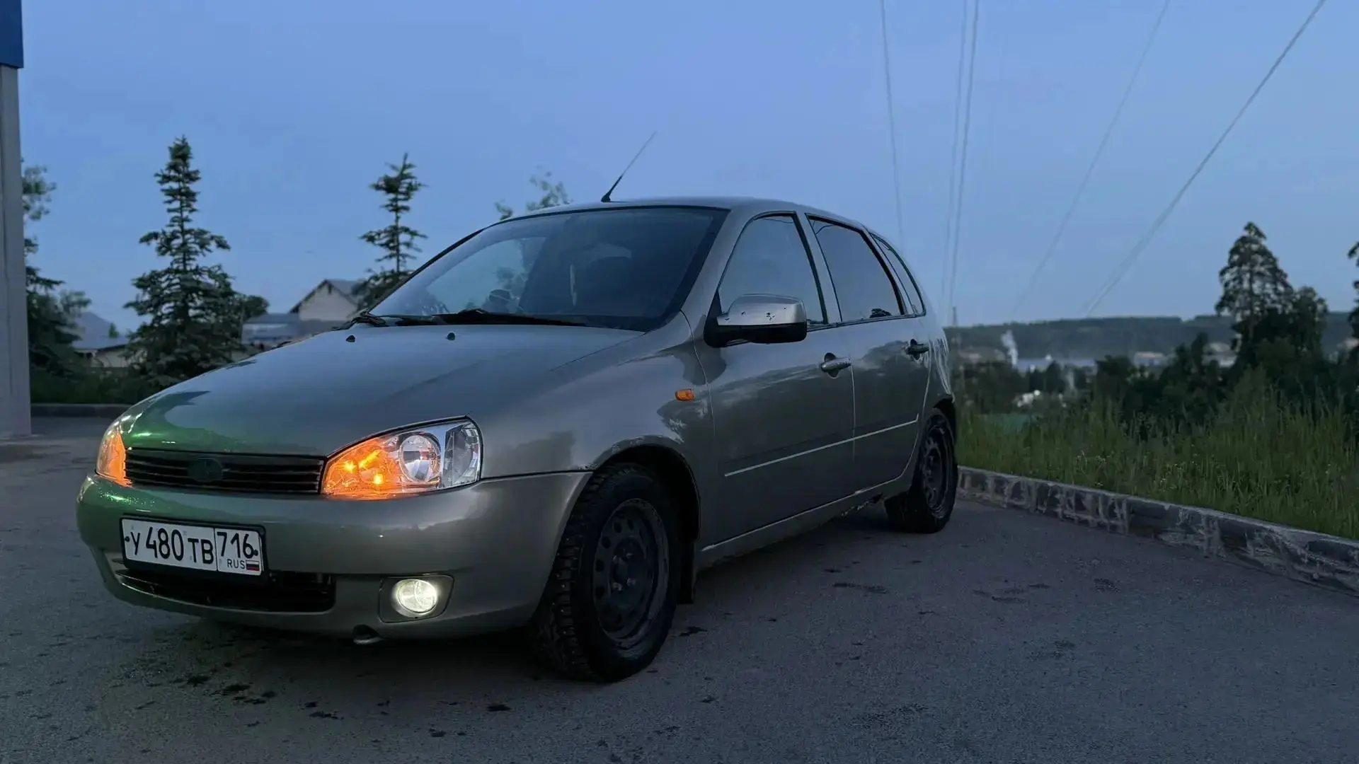 Калина 2012 год