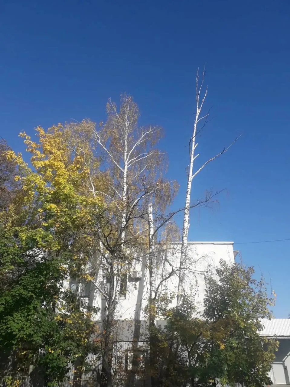 📩 Нам пишут
