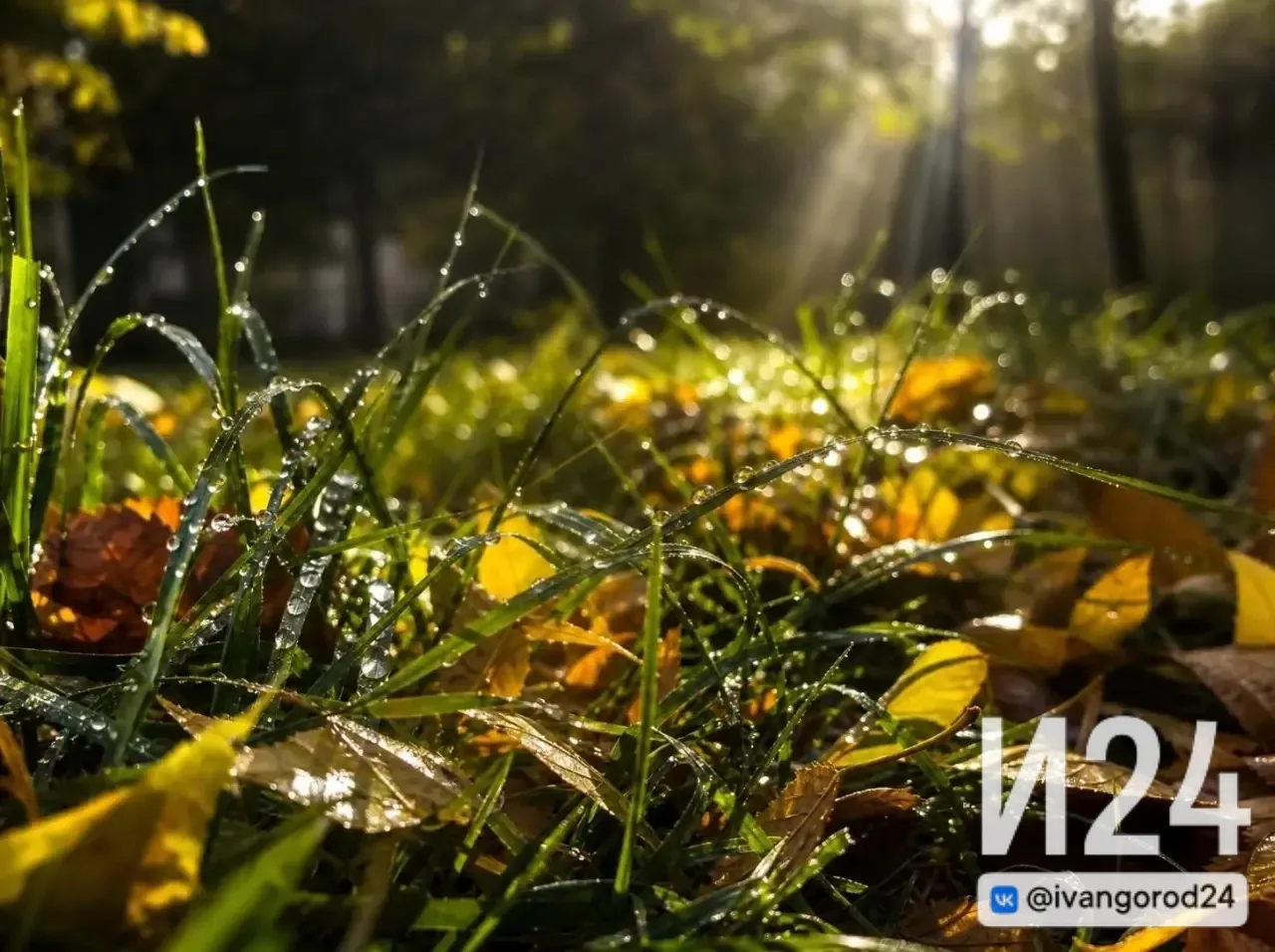 🌥️ Ивангород, доброе утро!