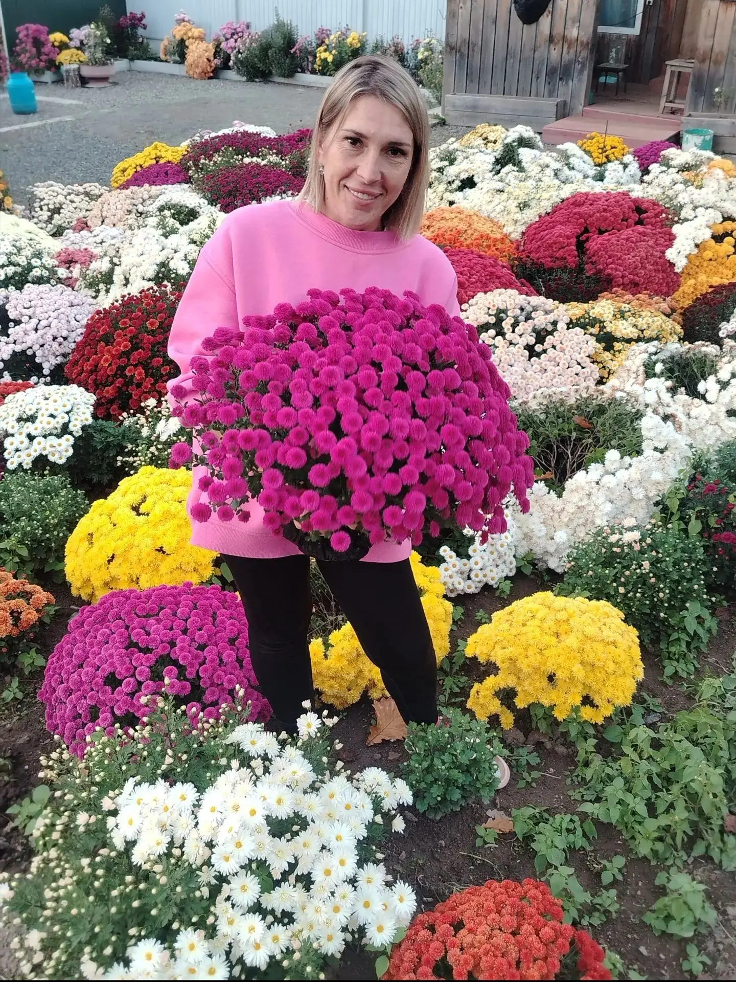🌸🏵️🌼 Коко Шанель и Розалинда, царица Тамара и Эмби пинк, Алиса и Арлекин...