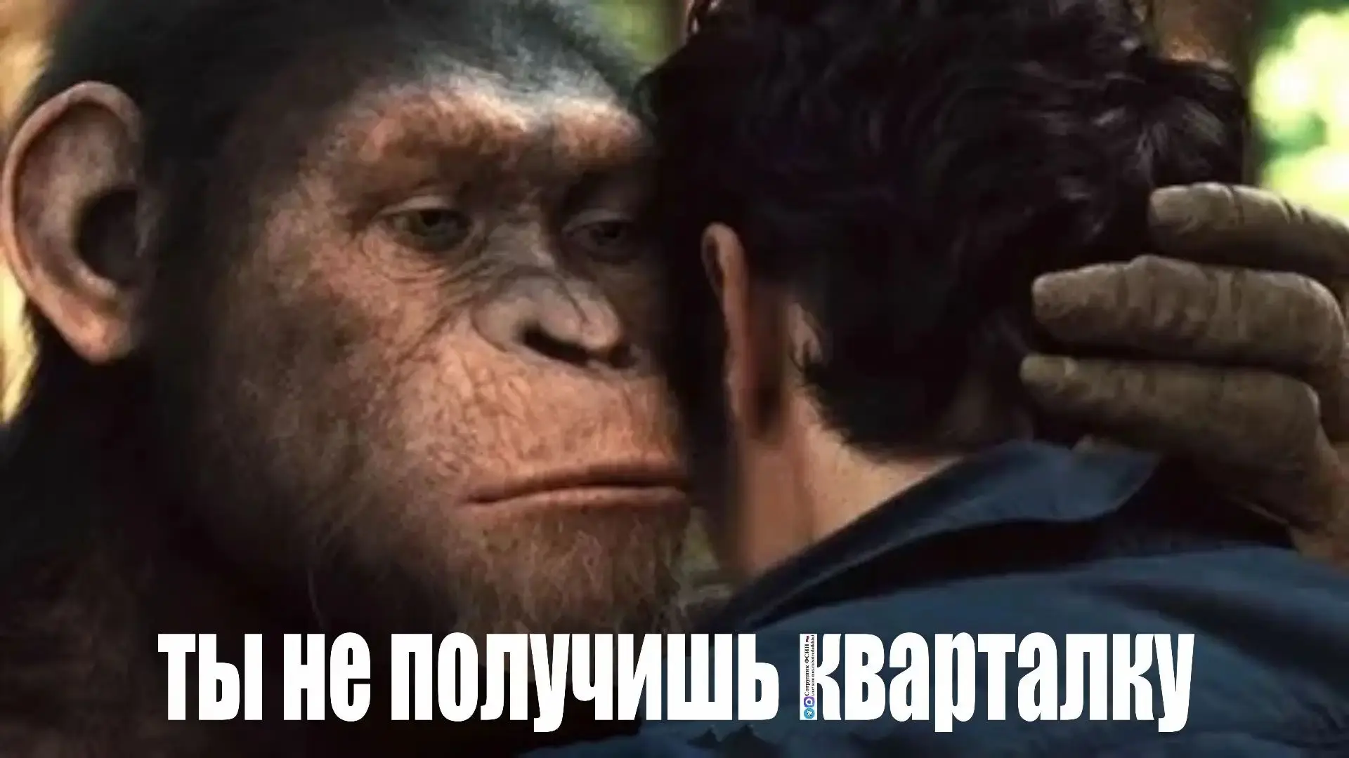 #актуальная печалька
