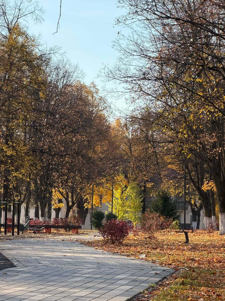 Спокойной ночи, бавлинцы!