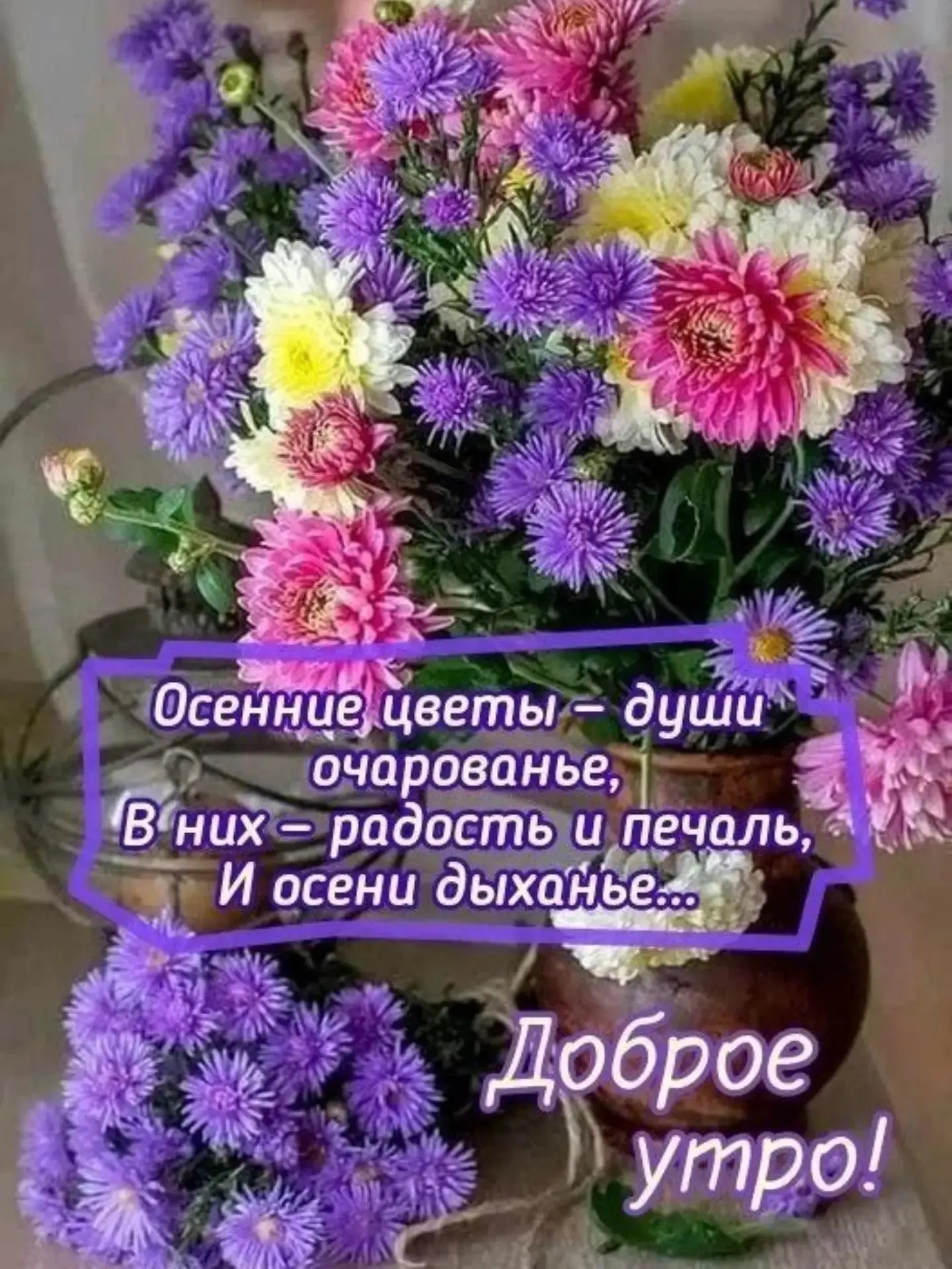 Доброе утро!