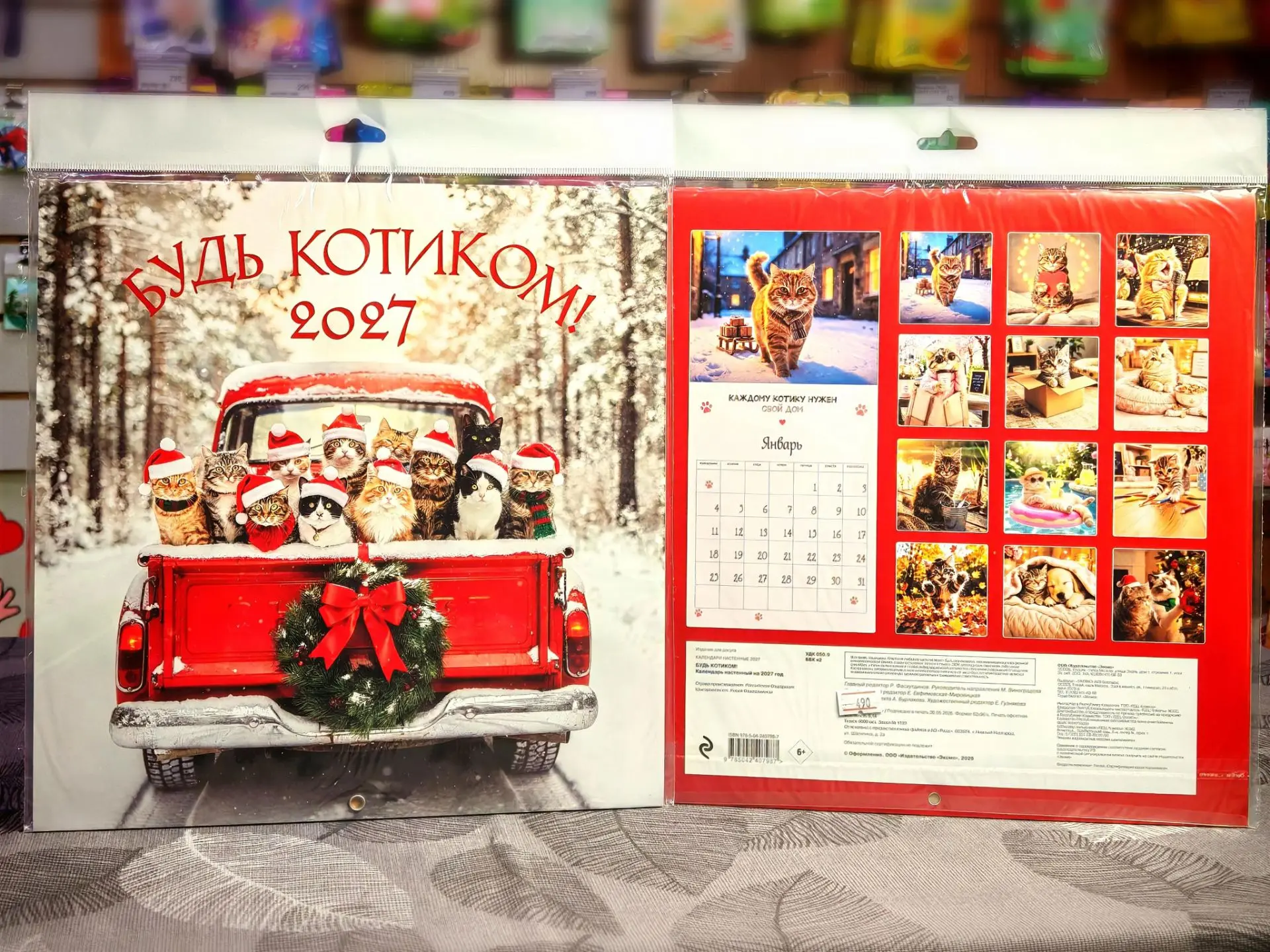 Будьте котиками каждый день 🥰