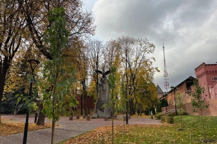 В Сквере Памяти Героев в Смоленске высадили 30 молодых кленов