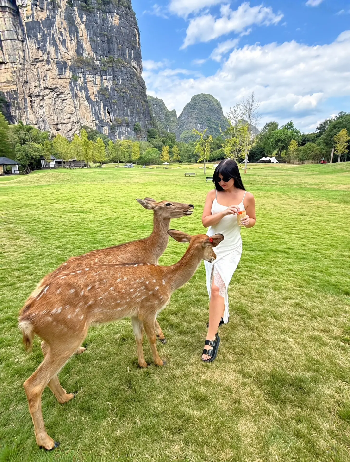 Как попасть в сказочное место в Китае, где живут Бэмби? 🦌⛰️