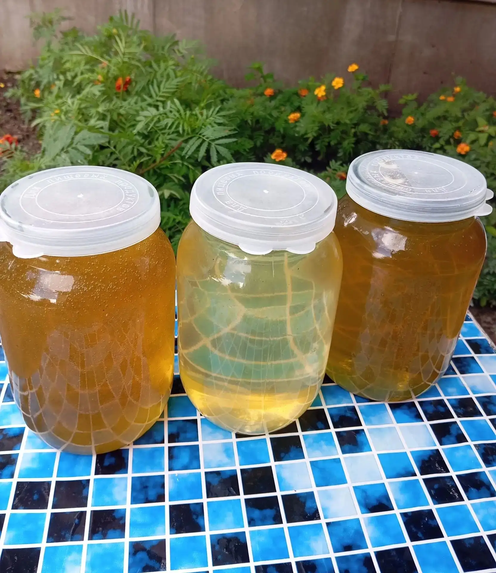 Мёд 🍯 со своей пасеки!