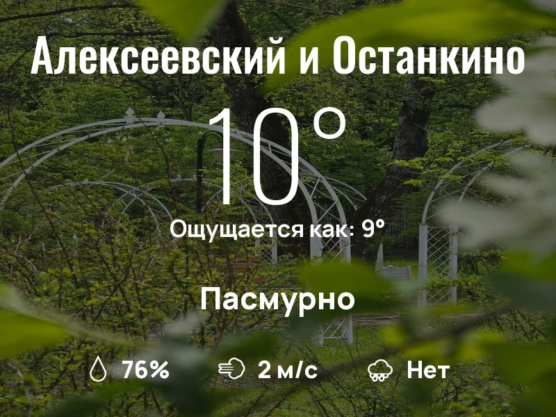 Что с погодой в районе ВДНХ?