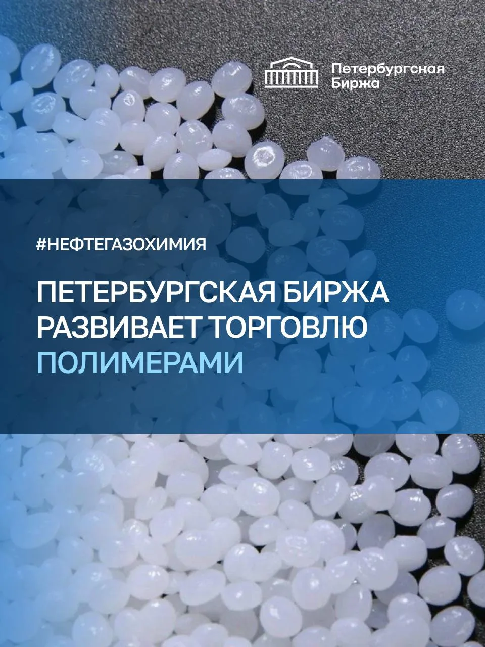 🏛️ С января по сентябрь 2026 года на Петербургской Бирже реализовано 6,3 тыс. тонн пол...
