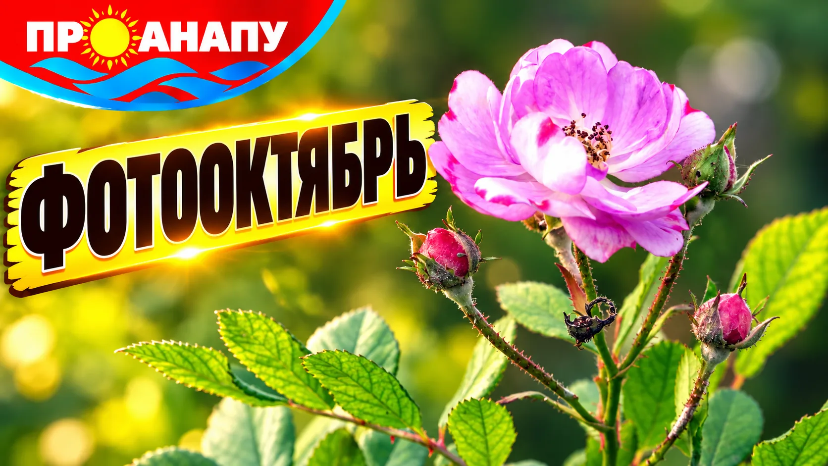 🌺 Фотооктябрь в Анапе: яркие цветы и краски южной осени