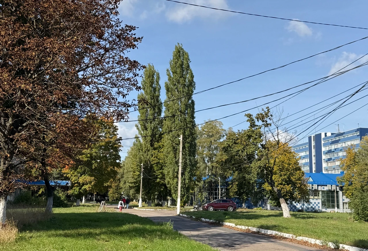 Студенческий городок ЮЗГУ: осенние пейзажи от Полины Цыкаловой