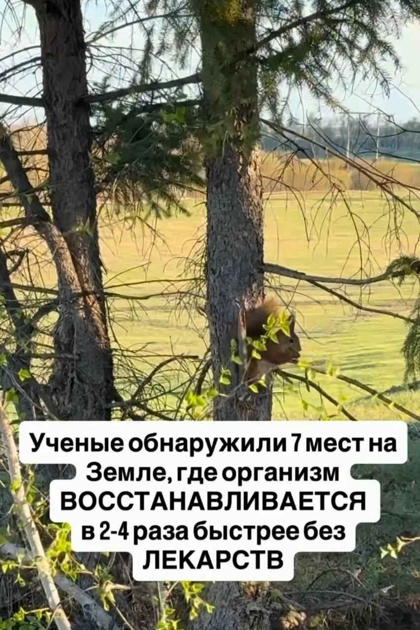 На Земле есть места, где природные условия помогают восстановлению организма. Их влияни...