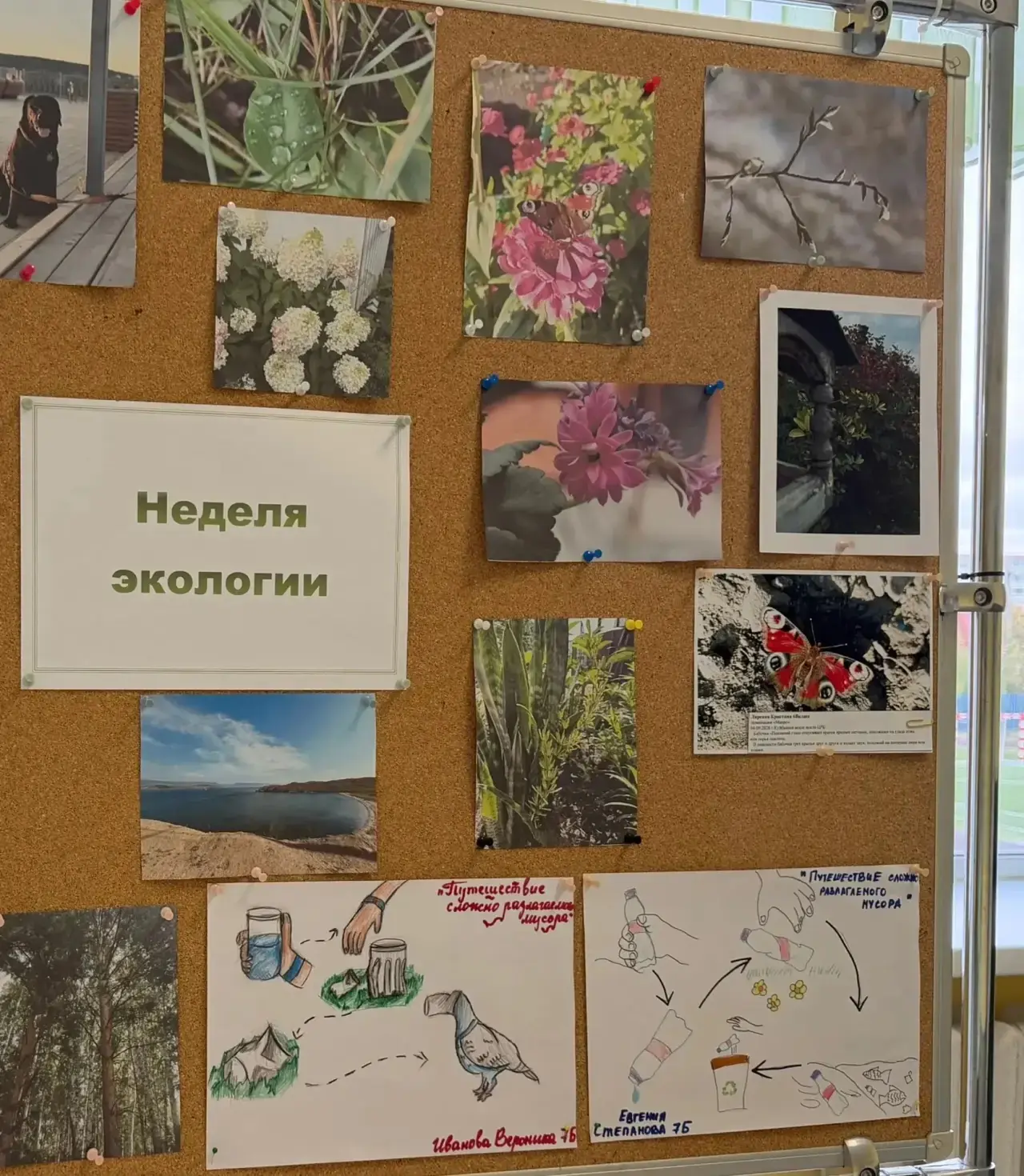 🌱Финальный аккорд недели экологии: глазами детей о том, что по-настоящему важно