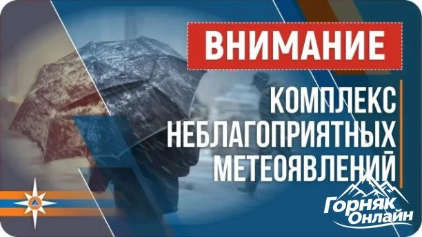 ❗Штормпрогноз объявлен в Алтайском крае 🌧️🌬️ В Алтайском крае ночью 9 октября ожидает...