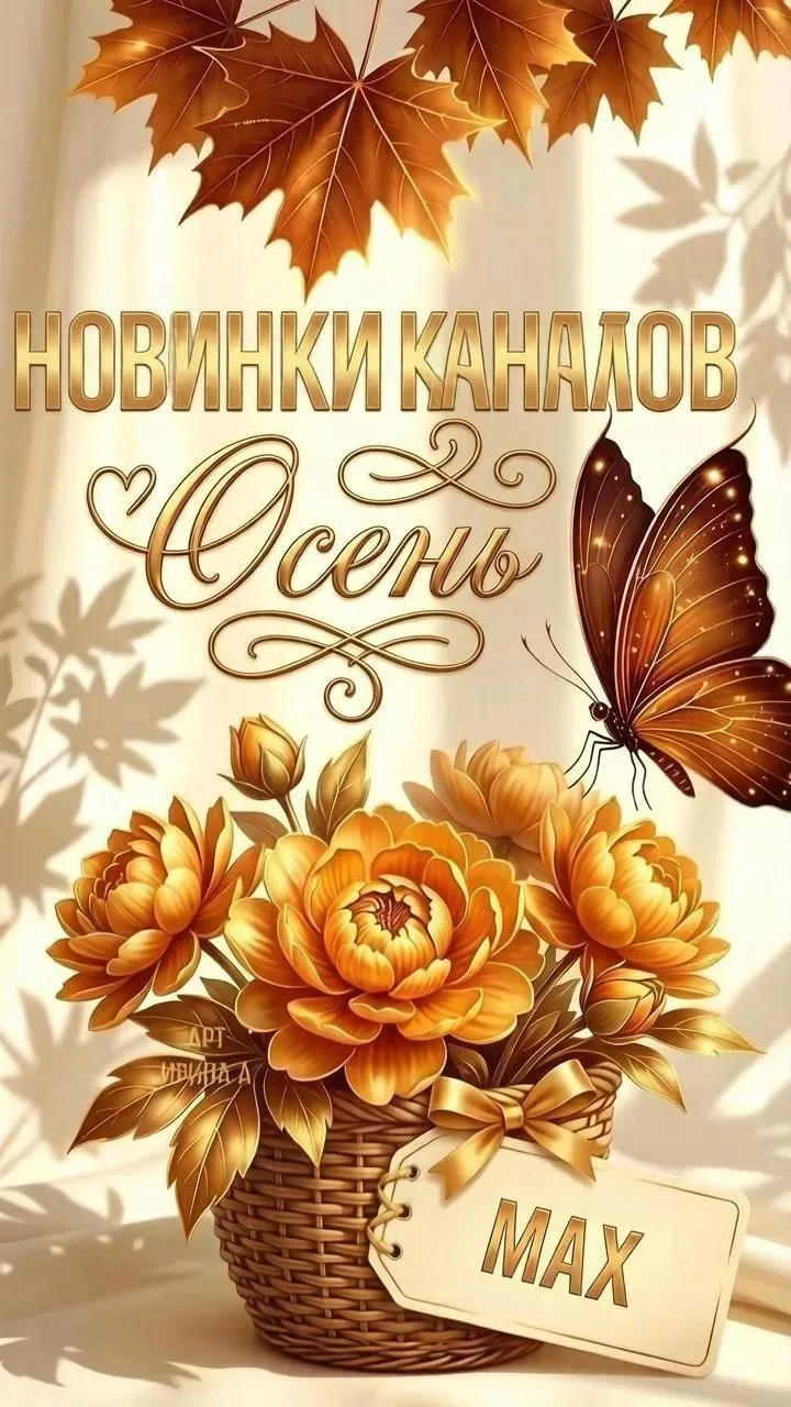 🔸🔸🔸🔸🔸🔸🔸🔸🔸🔸🔸🔸