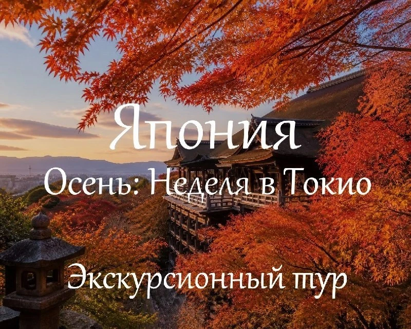 🏯Япония! Экскурсии!🍁